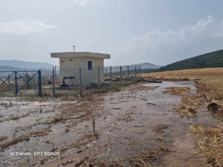 Βόλος: Σφραγίζεται η γεώτρηση με τη σαλμονέλα στο Δήμο Ρήγα Φεραίου – Άρδευση για 15.000 στρέμματα καλλιεργειών