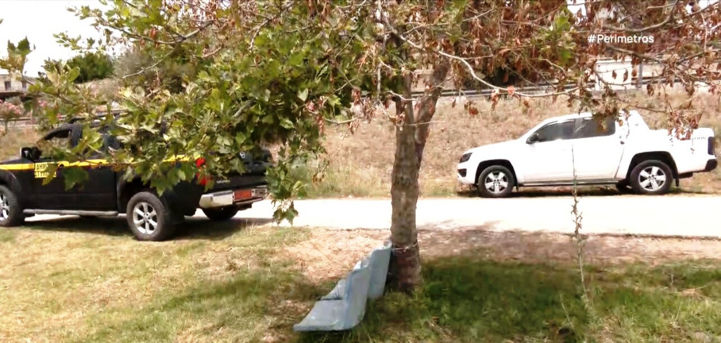 Έριξαν δηλητήριο και ξέραναν τα δέντρα στην παραλιακή οδό