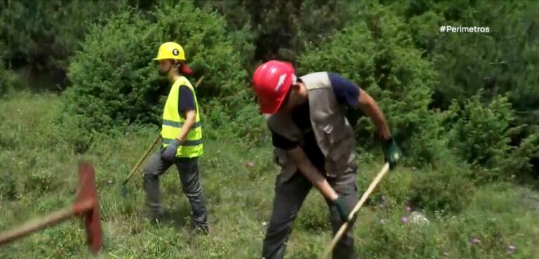 Από την «Καλιφόρνια στον Όλυμπο» για τον καθαρισμό μονοπατιών