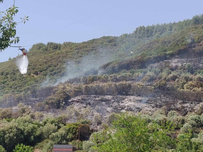 Αμφιλοχία: Μεγάλη κινητοποίηση της Πυροσβεστικής για πυρκαγιά σε αγροτοδασική έκταση (video)