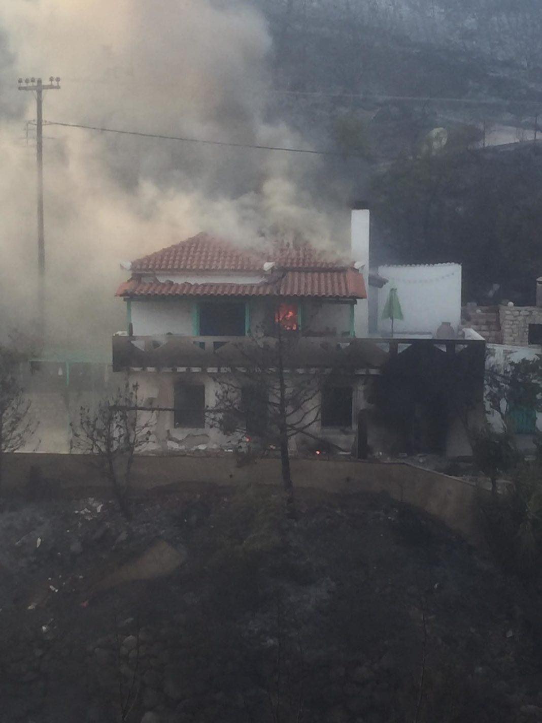 Μεσσηνία: Ποινή φυλάκισης 7 ετών στον 31χρονο για τις φωτιές στην περιοχή της Χρυσοκελλαριάς