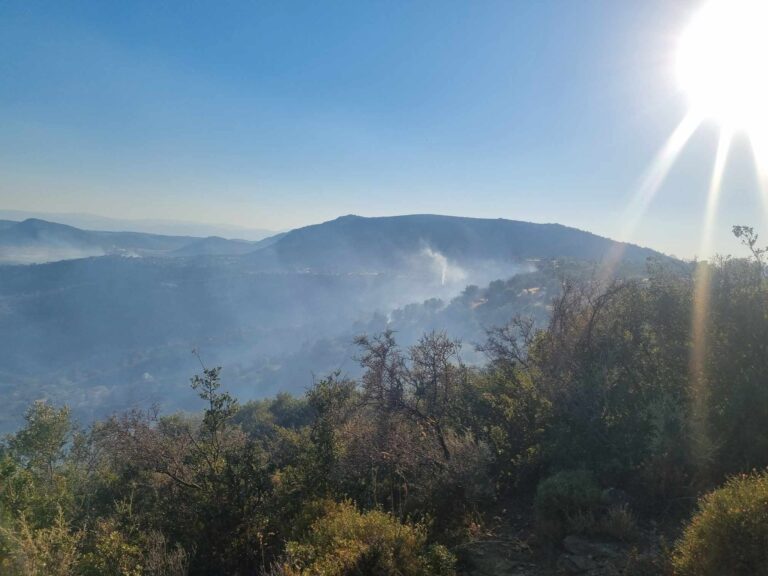 Αργολίδα: Χωρίς ενεργό μέτωπο η φωτιά στη Δαρδίζα