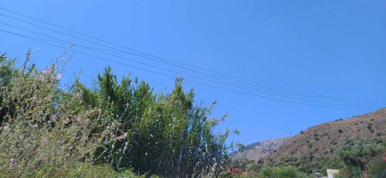 ΒΟΑΚ: Φορτηγό έκοψε καλώδια της ΔΕΗ – Από θαύμα δεν υπήρξαν θύματα
