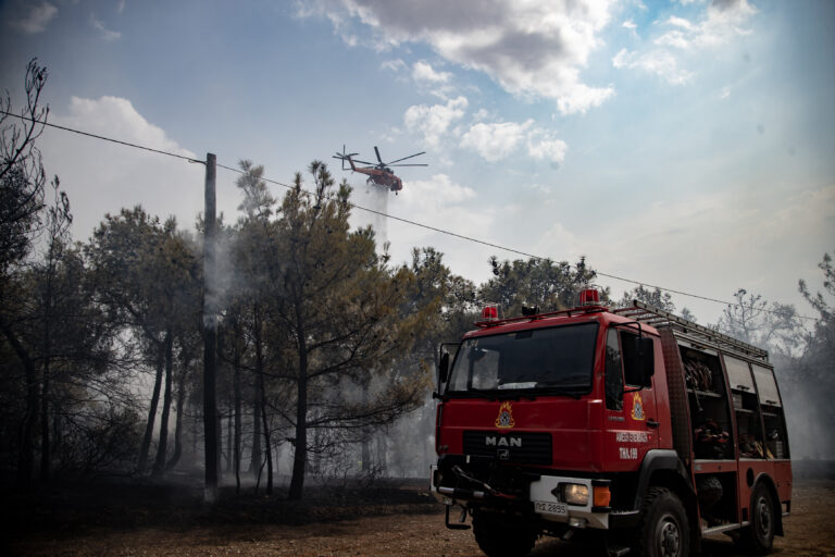 Μία σύλληψη για εμπρησμό για τη φωτιά στο Σέιχ Σου- Κικίλιας: «Στον 25χρονο βρέθηκαν πευκοβελόνες και αναπτήρας»