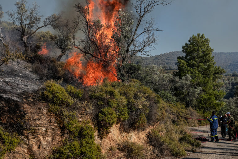 ΚΥΑ για τη μεταφορά και τις αμοιβές δασεργατών σε περιστατικά δασικής πυρκαγιάς ή άλλης φυσικής καταστροφής – Τι προβλέπει