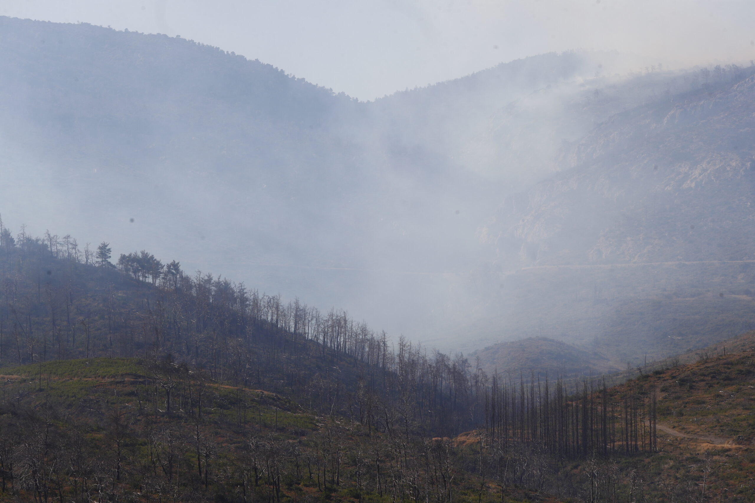 [370480] ΠΥΡΚΑΓΙΑ ΣΕ ΔΑΣΙΚΗ ΕΚΤΑΣΗ ΣΤΗΝ ΠΕΡΙΟΧΗ ΚΑΤΣΙΜΙΔΙ ΣΤΗΝ ΠΑΡΝΗΘΑ (ΣΩΤΗΡΗΣ ΔΗΜΗΤΡΟΠΟΥΛΟΣ / EUROKINISSI)