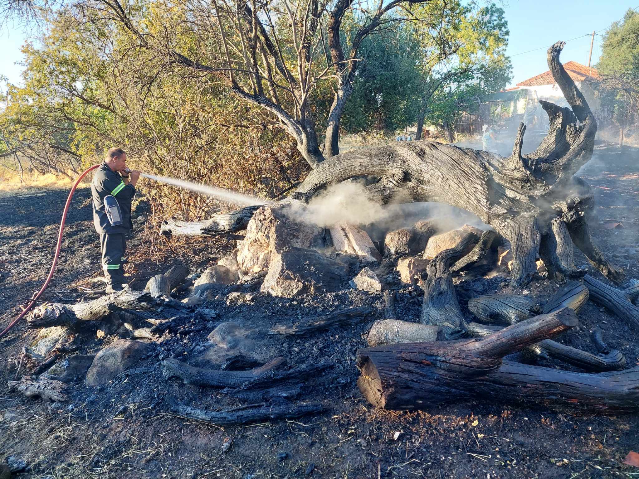 Υπό έλεγχο η φωτιά στη Νυφίδα της Λέσβου