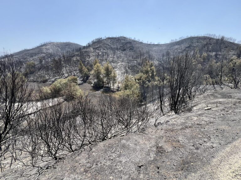 Ξεκίνησε η κατάθεση αιτήσεων για αποζημιώσεις στους πυρόπληκτους
