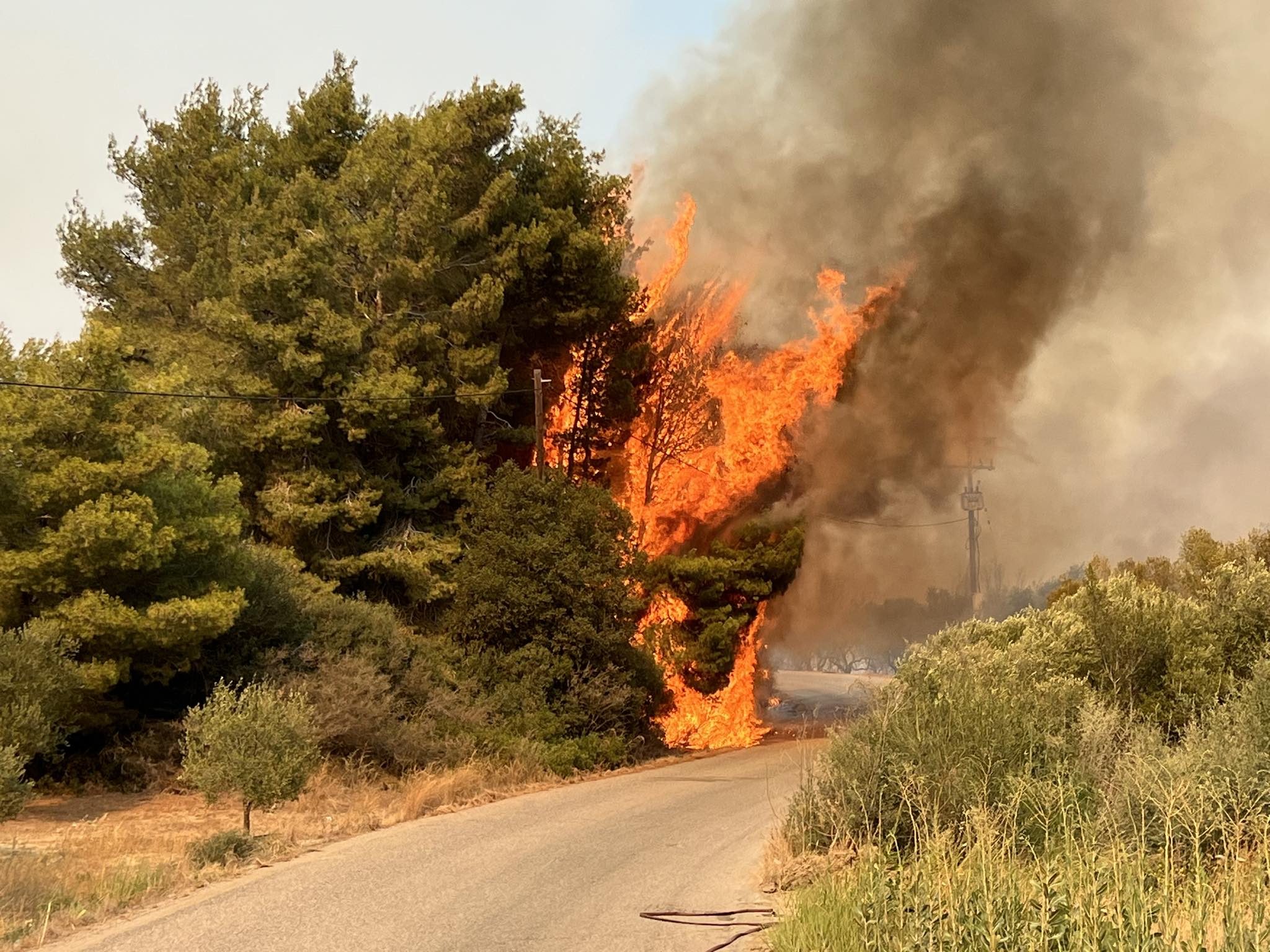 Πολύ υψηλός κίνδυνος πυρκαγιάς την Τετάρτη σε τέσσερις Περιφέρειες – Επιμένουν μελτέμι και ζέστη