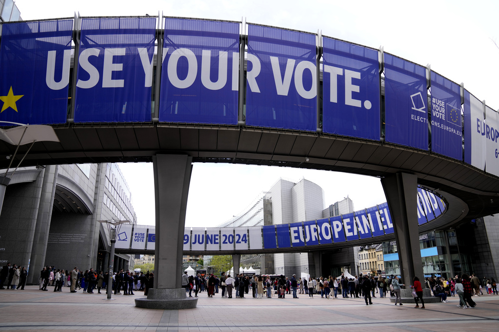 European Election Disinformation