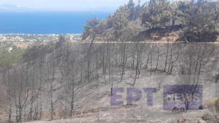 Χίος: Εύσημα στους πυροσβέστες από τη ΛΑΣ και πρόταση προστασίας περιοχών Ρεστών – Κλειδούς