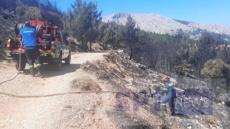 Χίος: Η Ένωση Μαστιχοπαραγωγών ενισχύει τις εθελοντικές ομάδες πυρόσβεσης