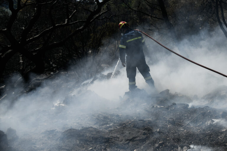 Υπό μερικό έλεγχο η φωτιά στον Χέρσο Κιλκίς – Η εικόνα στα υπόλοιπα ενεργά μέτωπα στην Κεντρική Μακεδονία