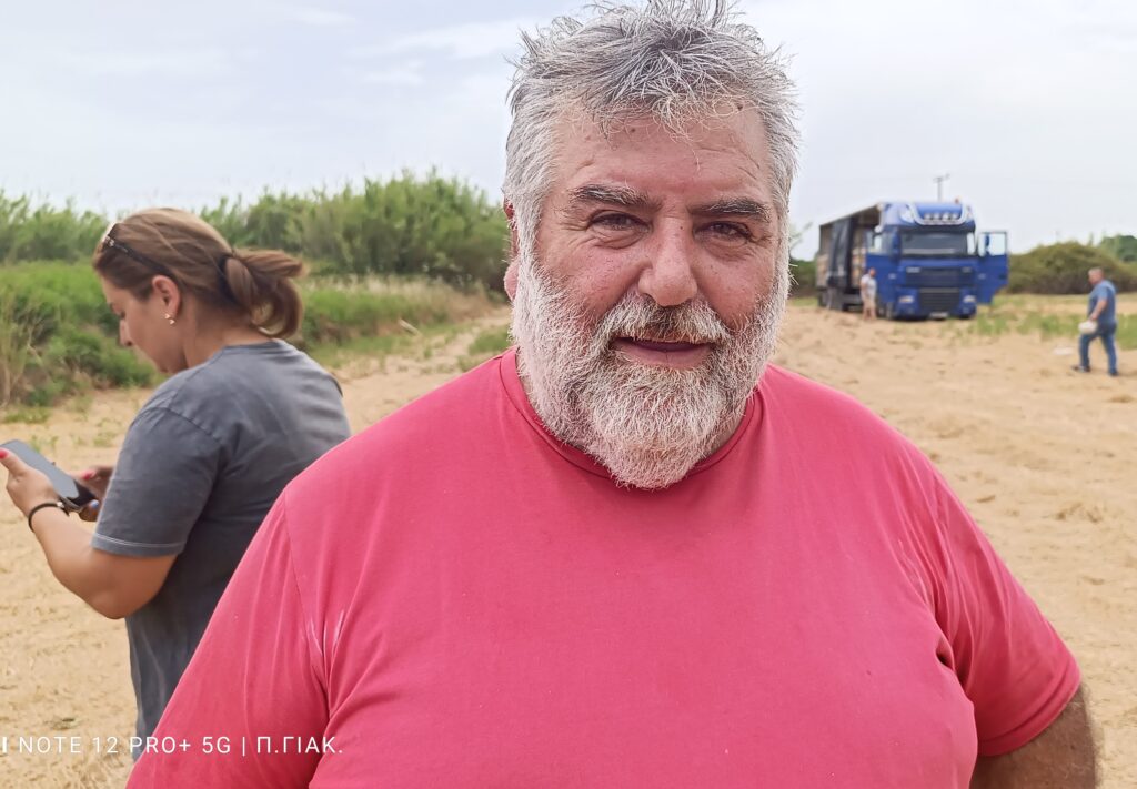 Ηλεία: Απογοητευμένοι δηλώνουν παραγωγοί και έμποροι από την παραγωγή καρπουζιού – Πτώση κατά 50%