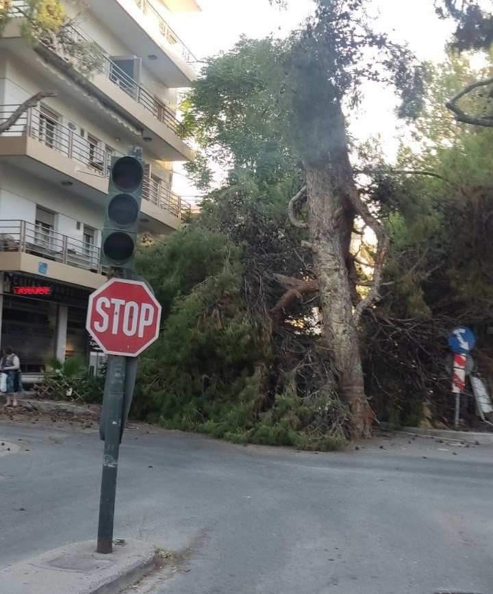 Ηράκλειο: Έπεσε δέντρο σε κεντρική λεωφόρο – Ξύπνησαν μνήμες από την τραγωδία του 2022.