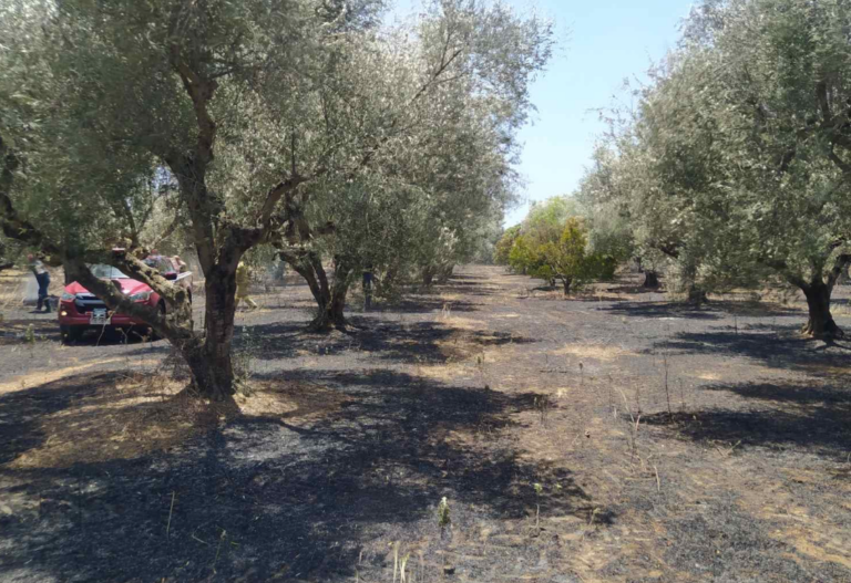 Μεσσηνία: Υπό μερικό έλεγχο οι φωτιές σε Κορυφάσιο και Πετροχώρι