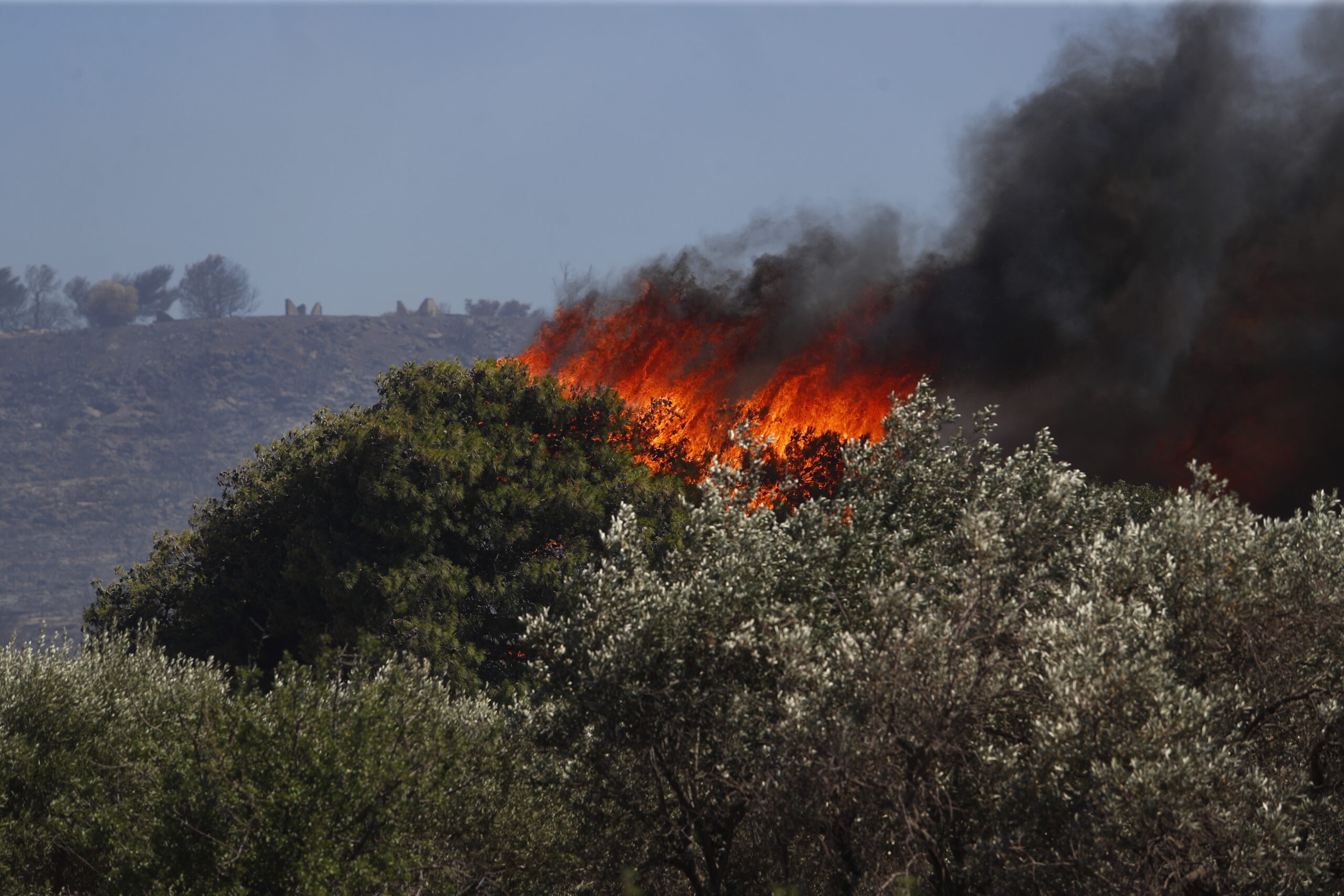 Φωτιά στην Ηλεία: 112 για τις περιοχές Χανάκια και Αλποχώρι