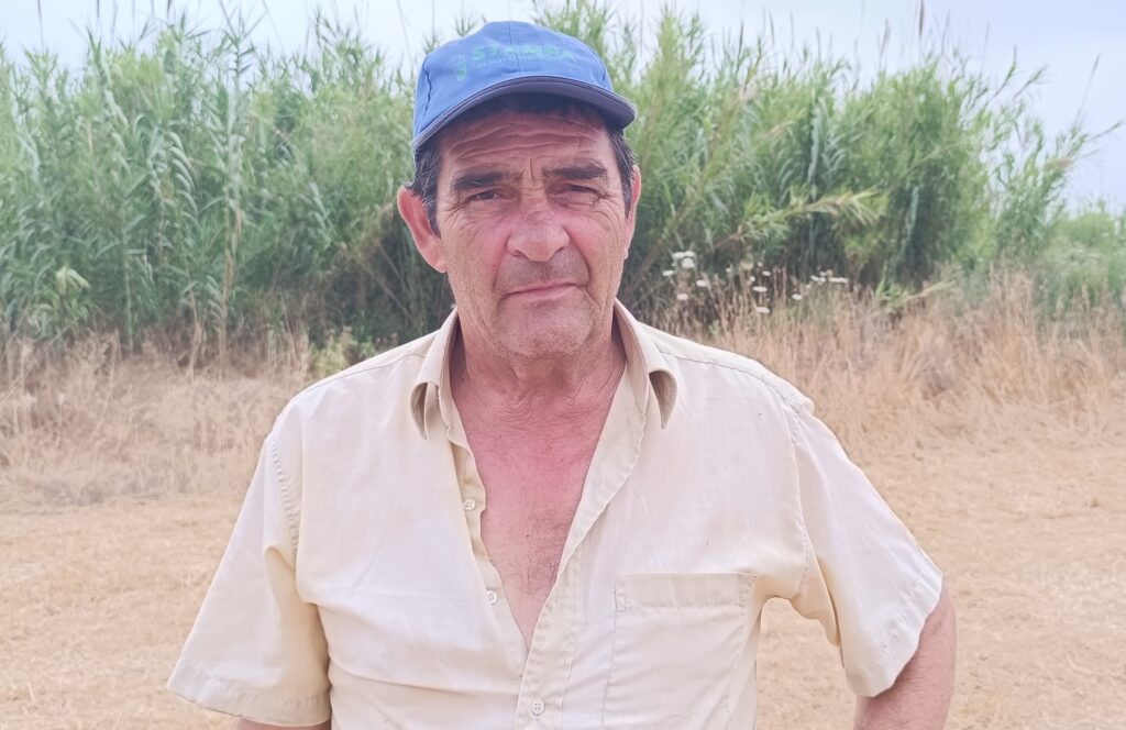 Ηλεία: Απογοητευμένοι δηλώνουν παραγωγοί και έμποροι από την παραγωγή καρπουζιού – Πτώση κατά 50%