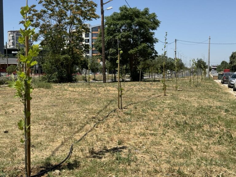 Σε χώρο πρασίνου «μεταμορφώθηκε» μπαζότοπος στη δυτική είσοδο της Θεσσαλονίκης