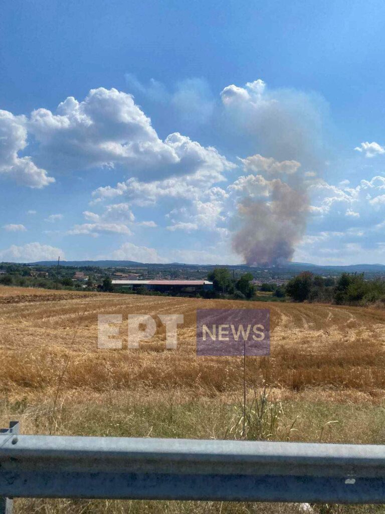 Σέρρες: Συναγερμός για πυρκαγιά στη Νιγρίτα – Μεγάλη κινητοποίηση της Πυροσβεστικής