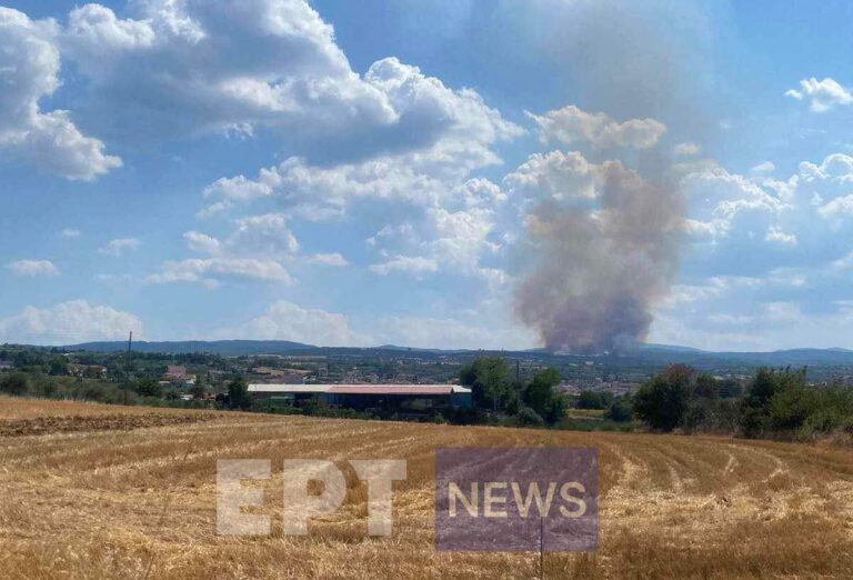 Σέρρες: Την Παρασκευή στο Αυτόφωρο για την πυρκαγιά στη Νιγρίτα ο 30χρονος αγρότης – Τι υποστήριξε