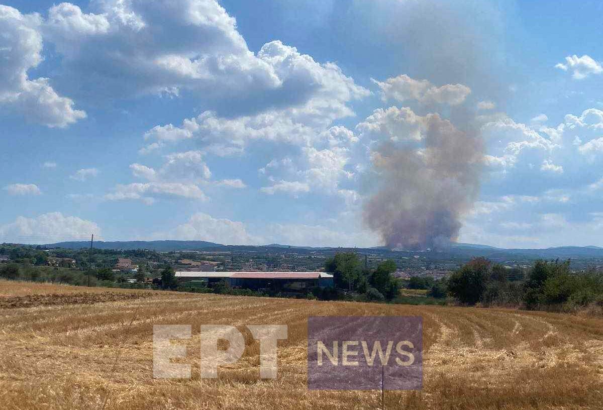 Σέρρες: Υπό πλήρη έλεγχο η φωτιά στην Νιγρίτα – Σύλληψη ενός ατόμου για εμπρησμό