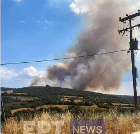 Σε εξέλιξη πυρκαγιά στη Νιγρίτα Σερρών-«Ο αέρας δεν βοηθά το έργο των πυροσβεστών»