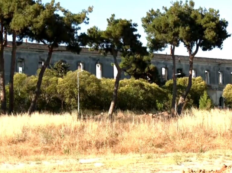 «Ιστορικοί τόποι χθες, αστικά κενά σήμερα, αναγεννημένοι δημόσιοι χώροι αύριο»-Ξενάγηση στο Μητροπολιτικό πάρκο Παύλου Μελά