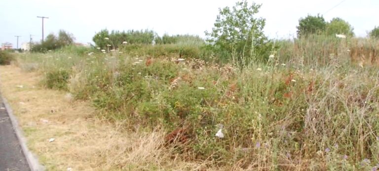 Μέχρι τις 30 Ιουνίου η προθεσμία καθαρισμού οικοπέδων- Υποχρεωτική η δήλωση στην ψηφιακή πλατφόρμα