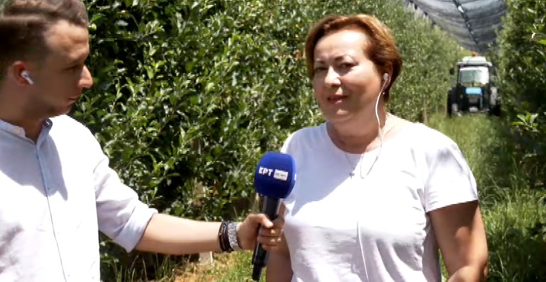 Καστοριά: Από στέλεχος πολυεθνικής στην Αθήνα, μηλοπαραγωγός στο Μαυροχώρι