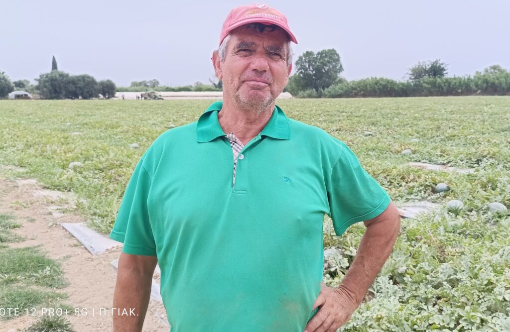 Ηλεία: Απογοητευμένοι δηλώνουν παραγωγοί και έμποροι από την παραγωγή καρπουζιού – Πτώση κατά 50%