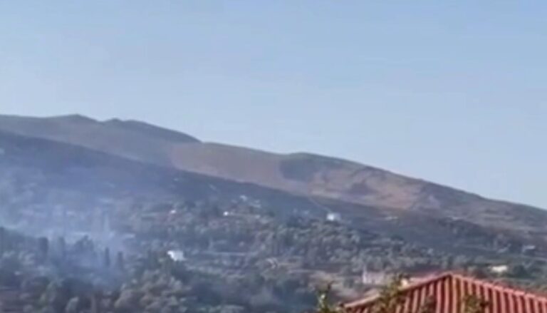 Φωτιά στην Άνδρο – Θ. Σουσούδης, δήμαρχος: «Απειλήθηκαν ανθρώπινες ζωές»