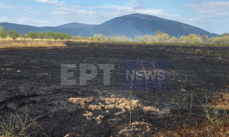 Άμεσα αντιμετωπίστηκε η πυρκαγιά σε αγροτοδασική έκταση στην Γαρέα Αρκαδίας