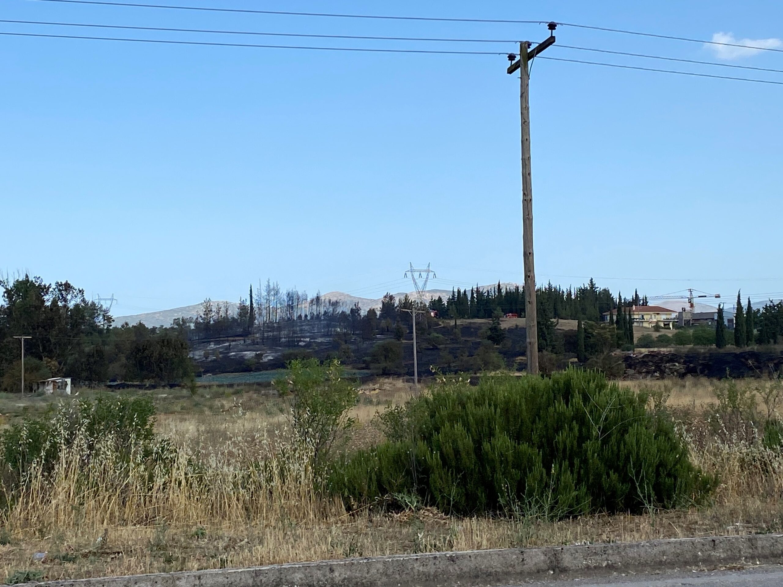 Αιτήσεις και καταγραφή ζημιών για τους πυρόπληκτους του Χωρεμίου Μεγαλόπολης