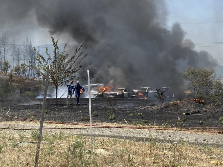 Τρίπολη: Φωτιά κοντά στη Βιομηχανική περιοχή – Κάηκαν αυτοκίνητα