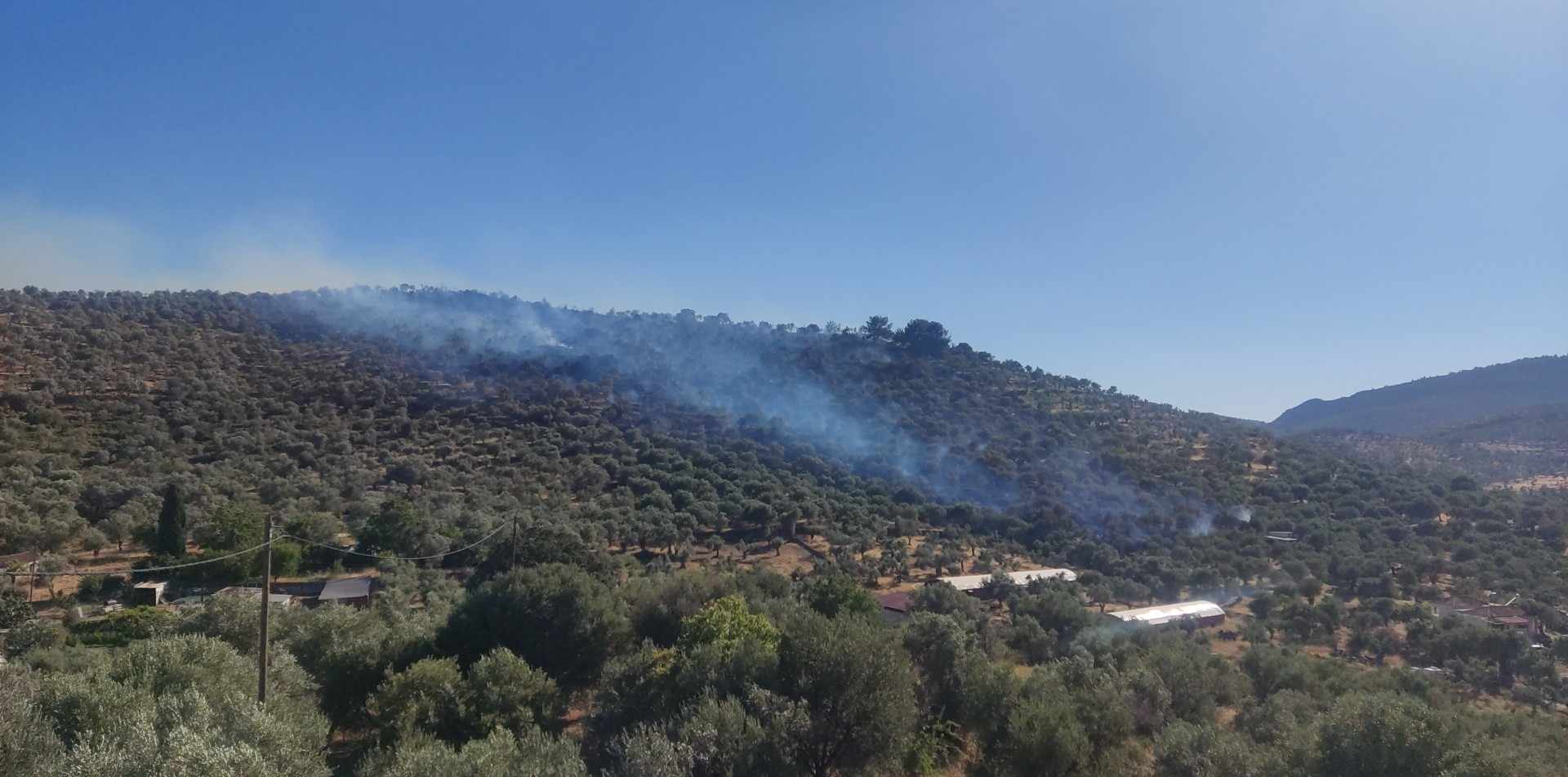 Λέσβος: Φωτιά ξέσπασε σε ελαιώνα έξω από τη Μόρια