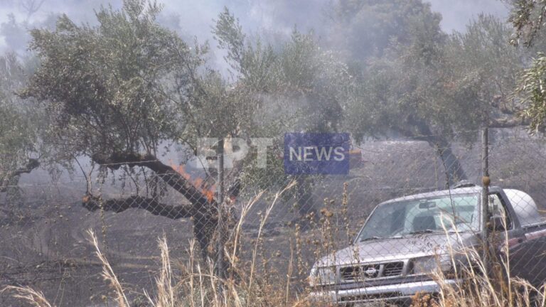 Καλαμάτα: Οριοθετήθηκε η πυρκαγιά στο Πεταλίδι Μεσσηνίας – Τι έκαψε