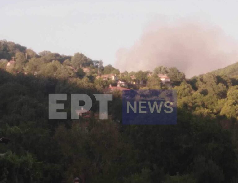 Υπό έλεγχο η πυρκαγιά μεταξύ Βουρβούρων και Αγίου Πέτρου Κυνουρίας