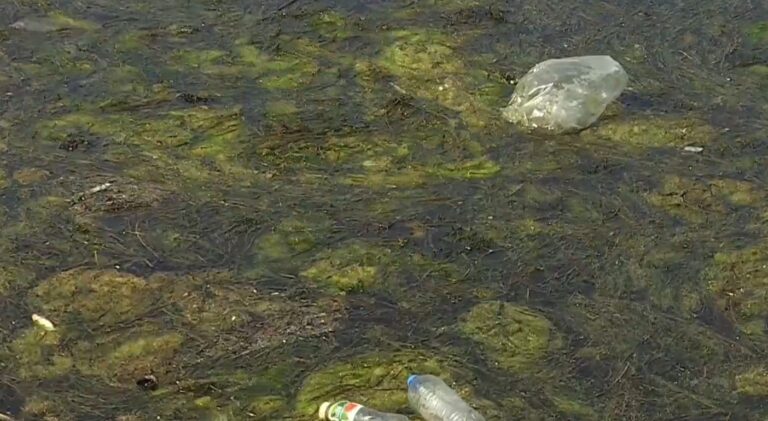 Φυτοπλαγκτόν και σκουπίδια «πνίγουν» τον Θερμαϊκό