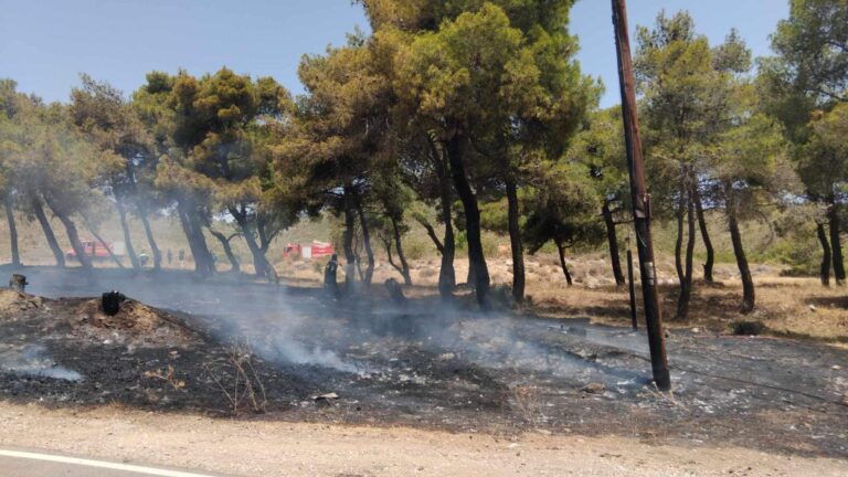Υπό έλεγχο η πυρκαγιά κοντά στο Νταού Πεντέλης