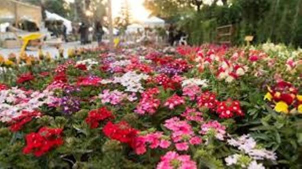 images-20-768x430