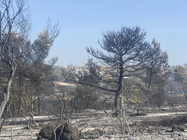 Κ. Σφλώμος, καθ. Χημείας: Τα μικροσωματίδια στα καμένα μπορούν να προκαλέσουν από αναπνευστικά προβλήματα μέχρι καρκίνο