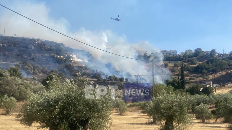 Καλύτερη εικόνα της πυρκαγιάς στο Κρανίδι Αργολίδας – Απομακρύθηκαν κάτοικοι από οικισμούς