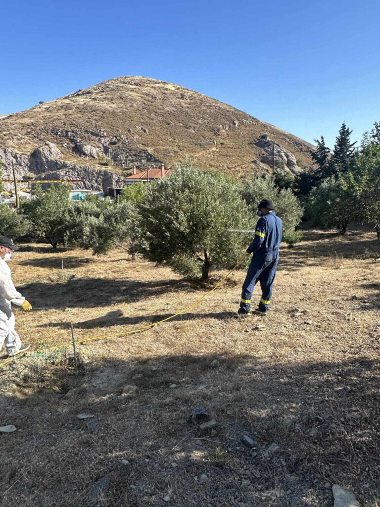 Δακοκτονία για πρώτη φορά στη Λήμνο