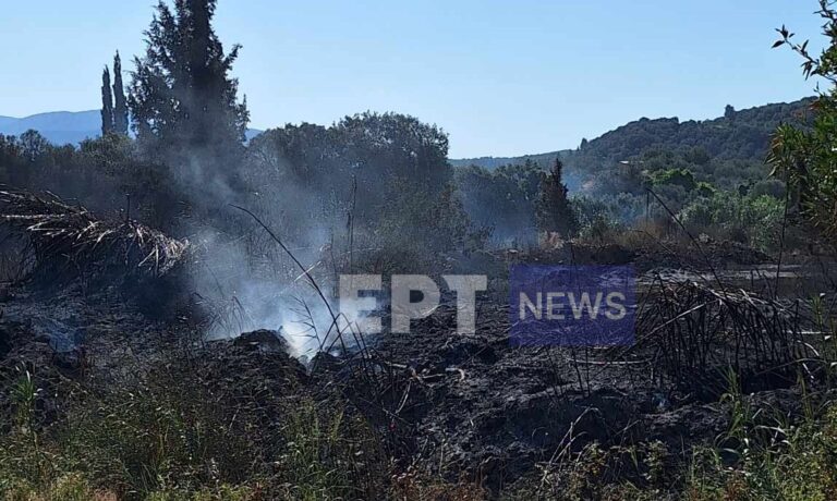 Μεσσηνία: Οριοθετήθηκε η πυρκαγιά στο Νεοχώρι Mελιγαλά