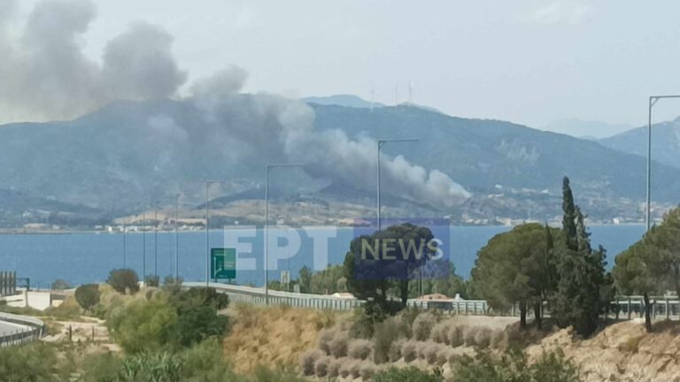 Σε ύφεση η πυρκαγιά στον Πλατανίτη Ναυπακτίας – Canadair χτύπησε σε δέντρο (βίντεο)