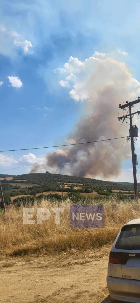 Σέρρες: Συναγερμός για πυρκαγιά στη Νιγρίτα – Μεγάλη κινητοποίηση της Πυροσβεστικής