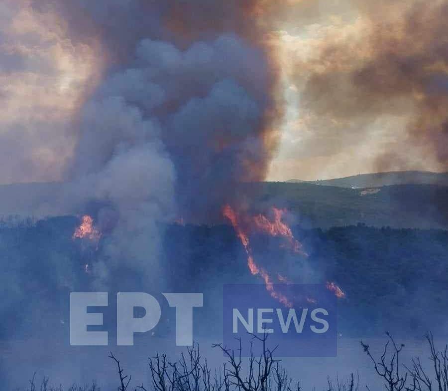 Σέρρες: Συναγερμός για πυρκαγιά στη Νιγρίτα – Μεγάλη κινητοποίηση της Πυροσβεστικής