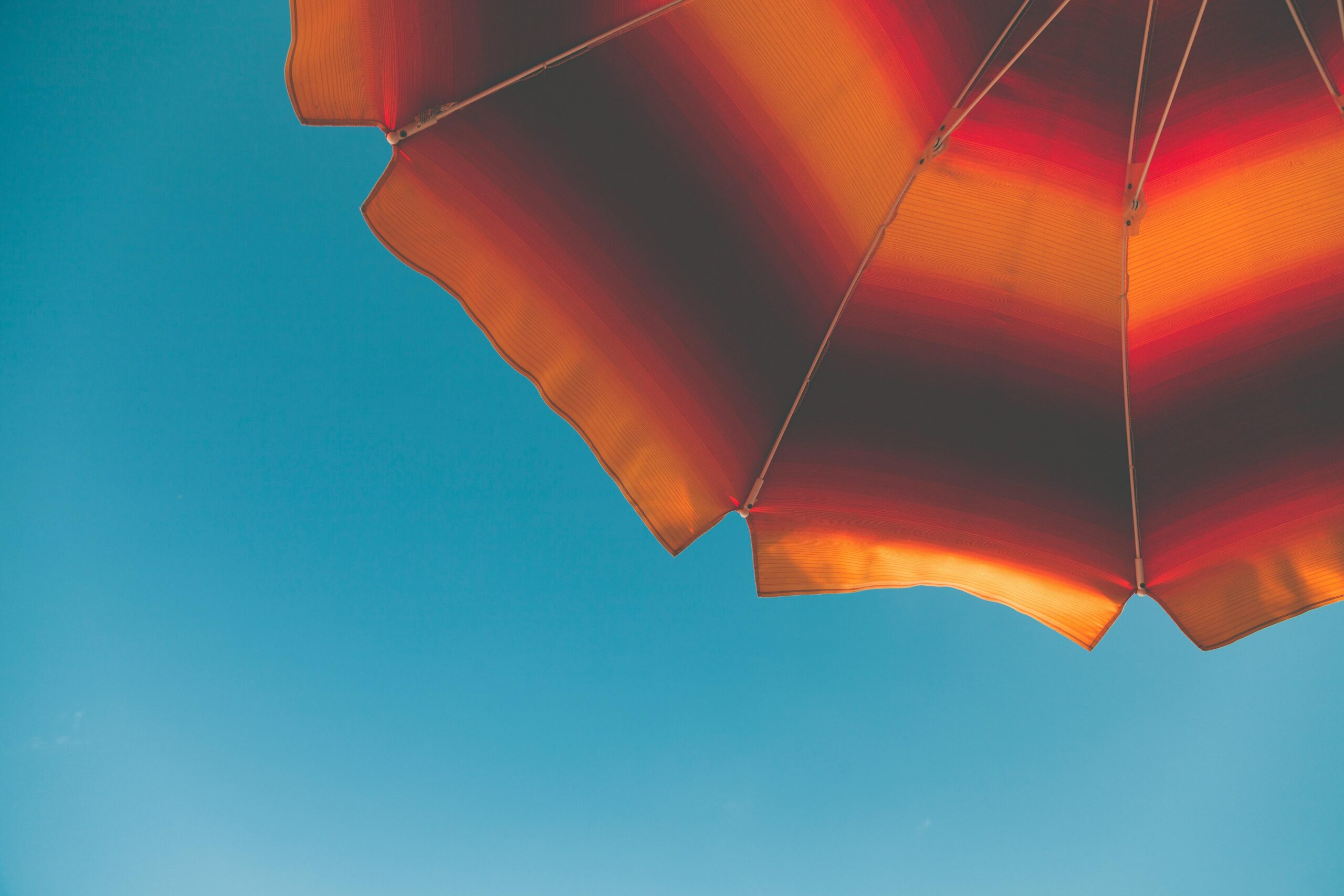 pexels-peterfazekas-1170596