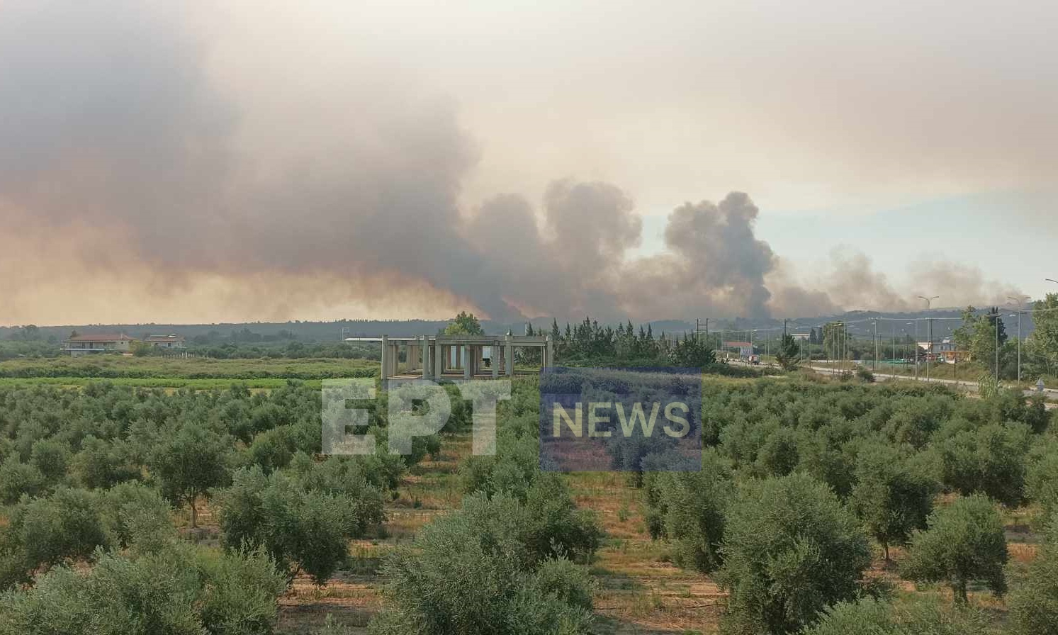 Πυρκαγιά στο Αλεποχώρι Ηλείας